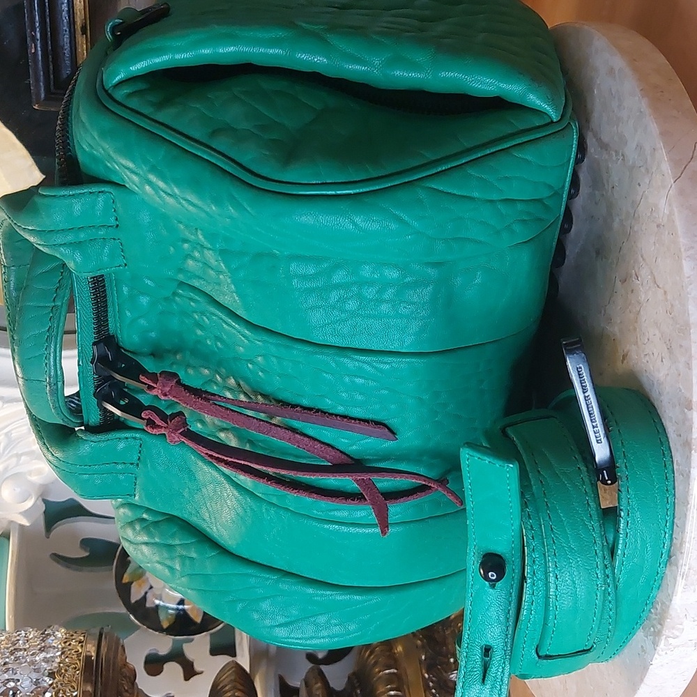 Alexander WANG ROCKIE 💚 rare Embossed Lambskin In Kelly Green Crossbody - Picture 9 of 13